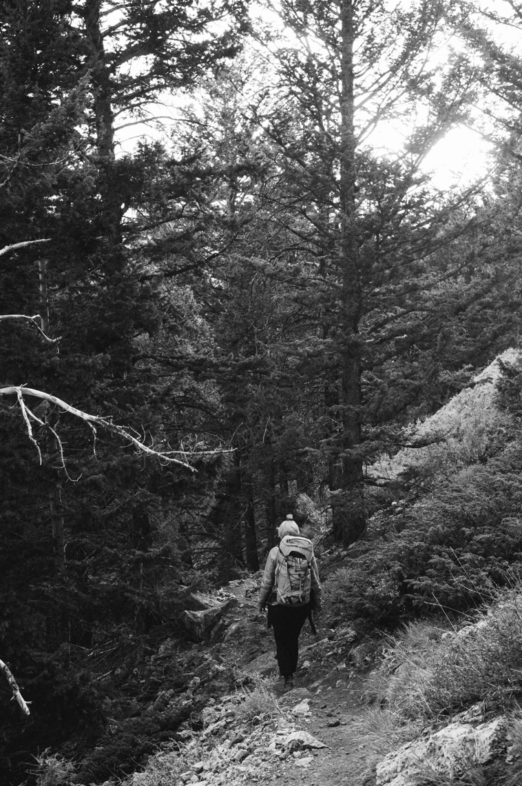 2020_09_Arcteryx_Shelma_Jun-703