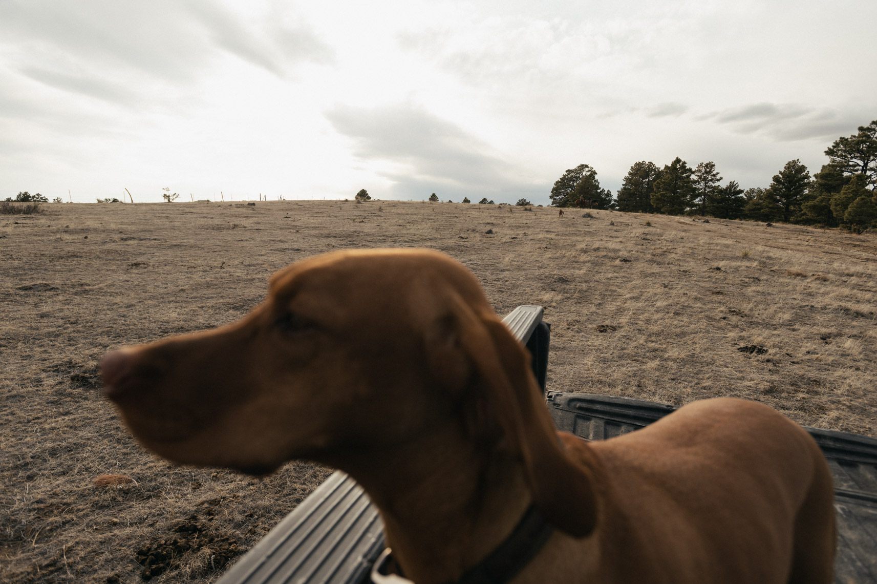 2021_03_Patagonia_Mustang-3833